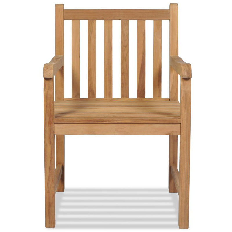 Stambruges Patio Dining Armchair with Cushion
