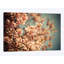 « timide », impression sur toile-33088387-72229530-72229531