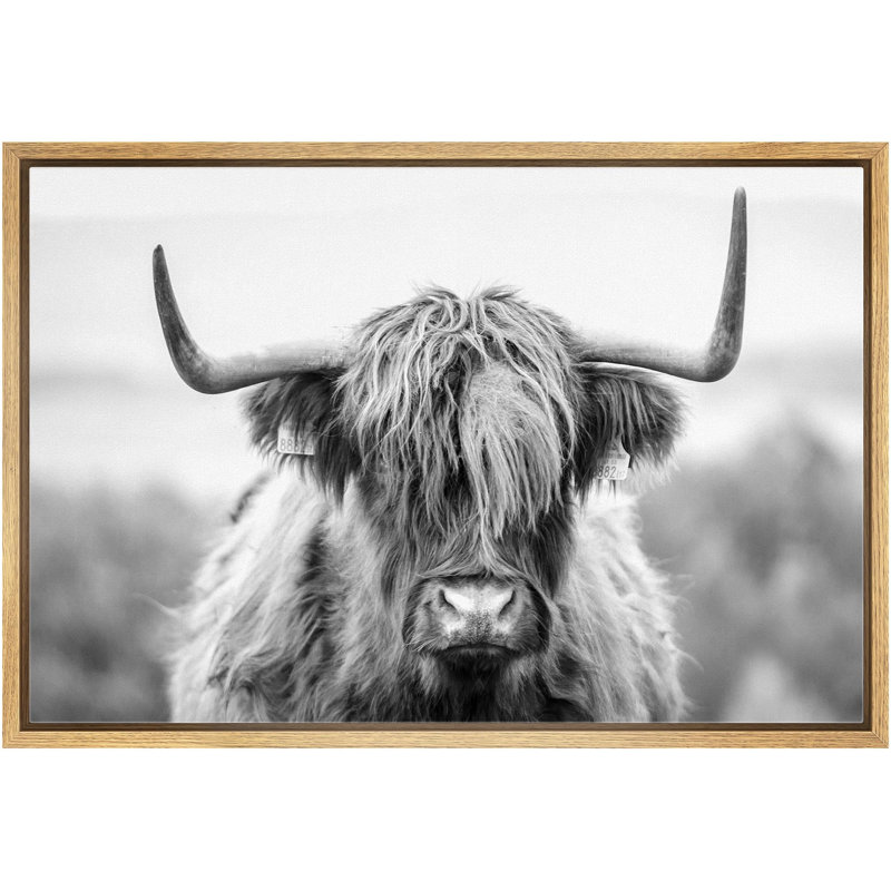 Animaux - Shetland noir et blanc, Naturel, H 16 po x l 24 po x P 1,5 po