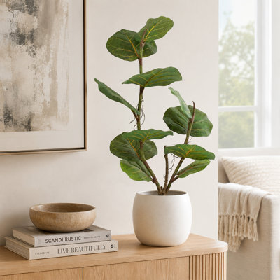 2.6FT Artificial Sea Grape Tree, Faux Coccoloba Uvifera Plant, Realistic Fake Tropical Greenery for Indoor Outdoor, Easy Assembly Artificial Outdoor Plants, Faux Outdoor Plants, Artificial Plants Indoor for Living Room, Patio, Entryway Decor