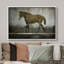 «A Brown Wild Horse Landscape Wilderness Impressionism Traditional Scenic» sur toile-99446424-99446426