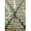 Moroccan Rugs One-of-a-Kind Rectangle 9' X 13' Area Rug