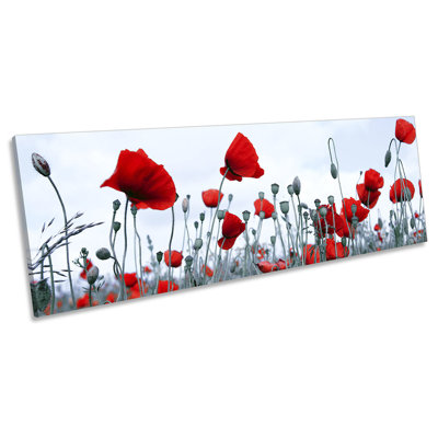 Red Poppies Flower Field 1 Piece Wrapped Canvas Panoramic Wall Art