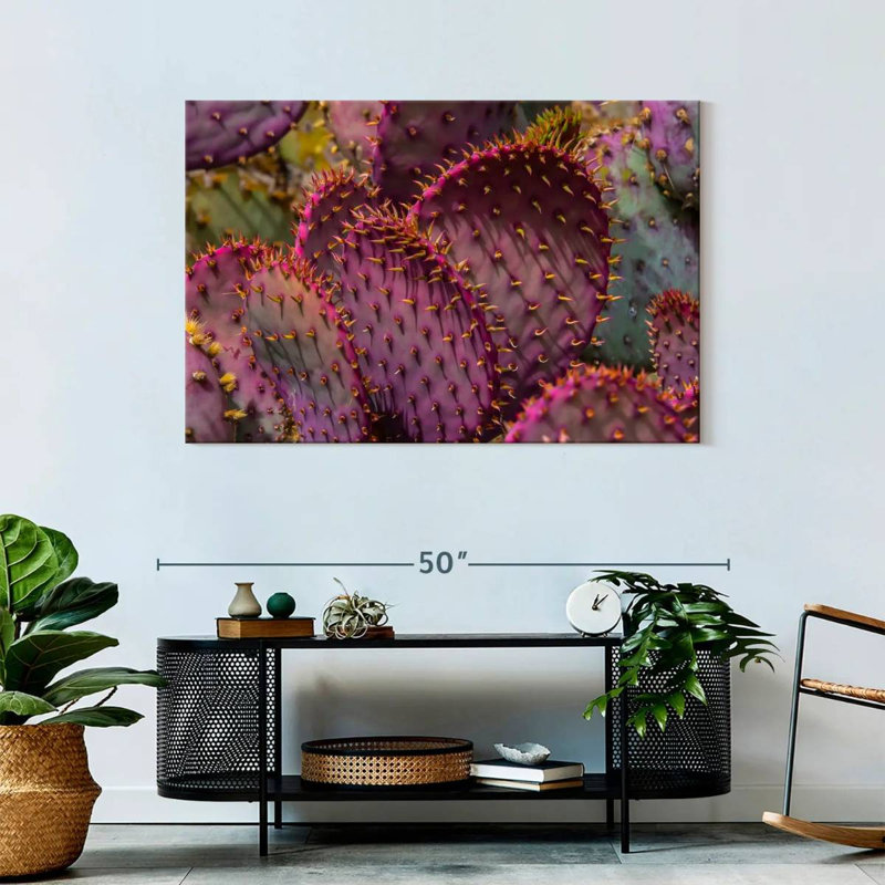 Harnek Angel Wing Cactus, 30" H x 45" W