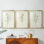 Olive Leaves I - Impression sur mesure encadrée de qualité supérieure - 3 pièces-238732123-238732124