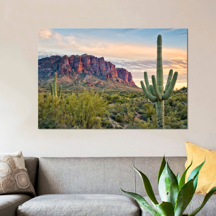 «Cacti View II», reproduction de photo sur toile, H 18 po x l 26 po x P 1,5 po, Toile tendue, Pas de tapis