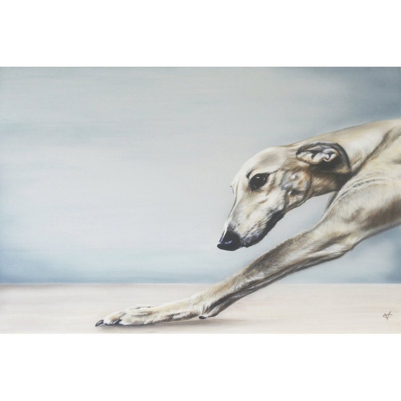 Down Dog, 20cm H x 30cm W x 3.8cm D