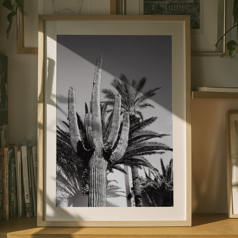 1 Piece Wrapped Canvas Wall Art, 76.2 cm H x 50.8 cm W