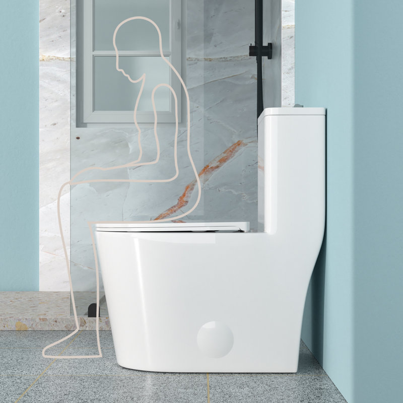 Ceramic One Piece Toilet, 12-Inch Rough-In, Dual Flush With Soft Closing Seat