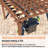 Solid Wood Pergola-102902324