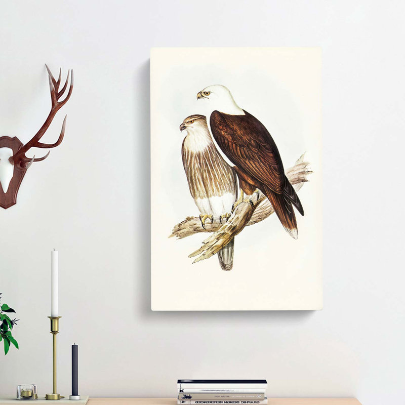 White Breasted Sea Eagles by Elizabeth Gould - Wrapped Canvas, 50cm H x 35cm W x 3cm D