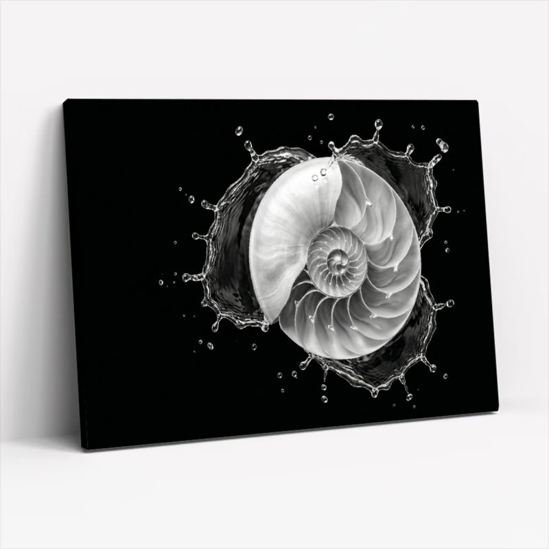 Nautilus Splash, reproduction d'art sur toile, ensemble de 1, Toile tendue, H 16 po x l 24 po