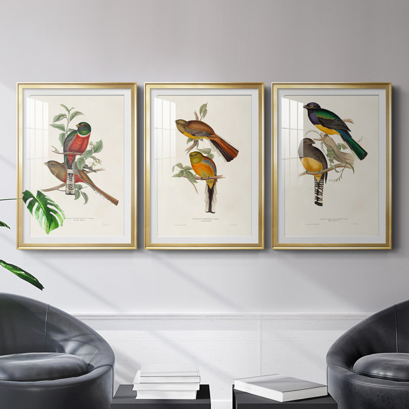 «Elegant Trogons I», reproduction encadrée de qualité supérieure - prête à être accrochée, Cadre doré
