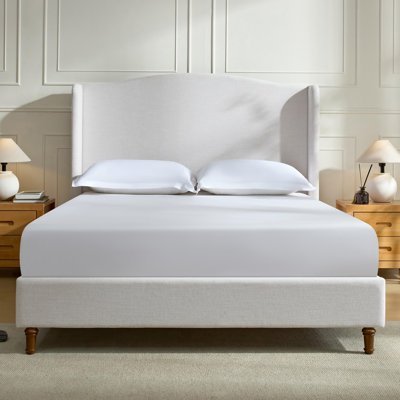 Queen Bed Frame Canvas Upholstered Wingback Bed with Arched Headboard, No Box Spring Required