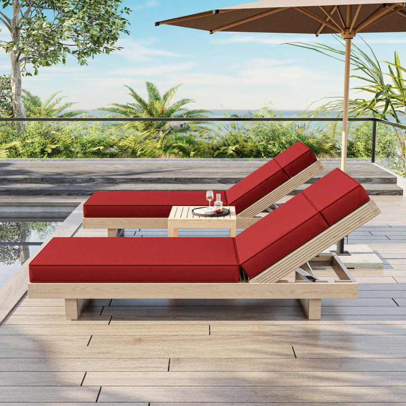 Coussin de chaise longue d'extérieur Wynee, L 25,8 po x P 79,75 po, Rouge
