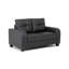 2 Piece Sofa Set