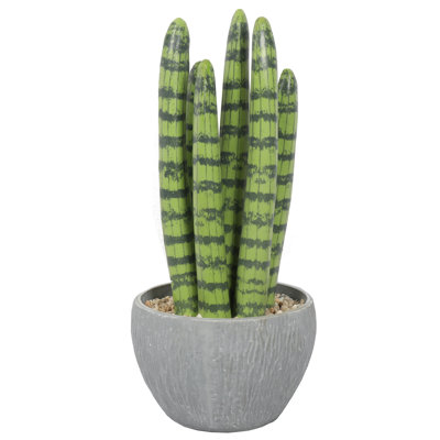 Plante grasse artificielle 10,5 po en pot