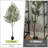 Olive Tree Artificial Indoor