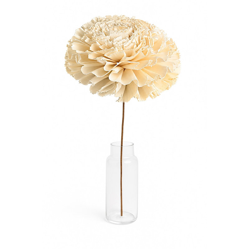 Shola Marigold