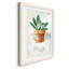 Sauge en pot - peinture-426400176-426400182