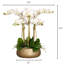Orchid Floral Arrangement in Planter-249749281-249749295-249749293