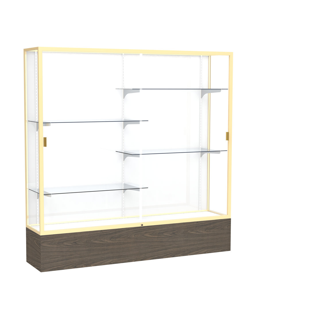 Reliant Series 72'' H x 72'' W Metal Trophy Display Case Ghent Back 