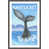 Grey Framed is out of stock selected