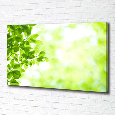 Leaves - Wrapped Canvas Print