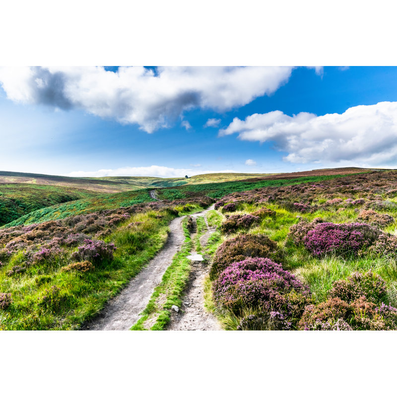 Haworth Moor, Yorkshire by James Elkington - Wrapped Canvas Print, 61cm H x 91cm W