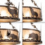 Wildlife 6 - Light Chandelier