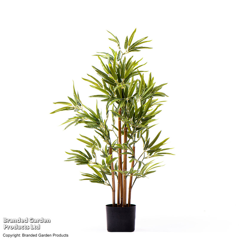 90cm Bamboo Tree in Pot