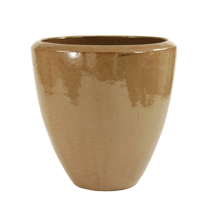 Palmier du ventilateur en pot, Moka émaillé