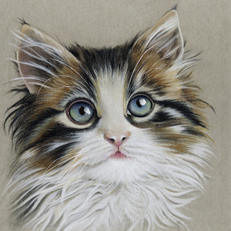 Kitten Portrait II by Lily Liama - Wrapped Canvas Painting, 51cm H x 51cm W