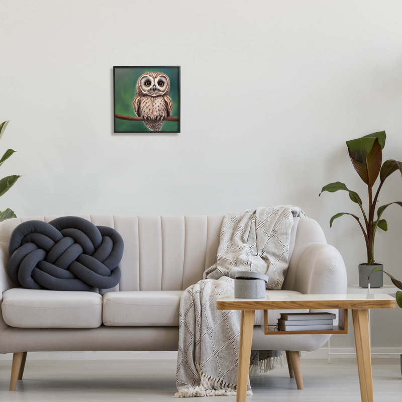 Hibou tacheté regardant la giclée par Alpenglow, null, null
