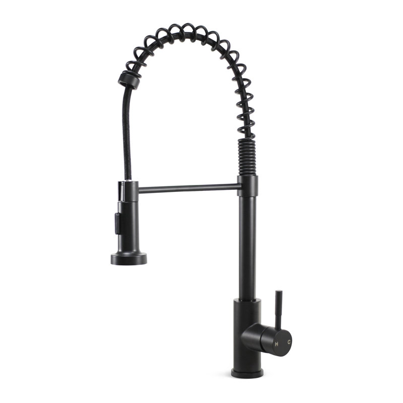 Plumb Tech Pull Down Kitchen Faucet, Matte Black