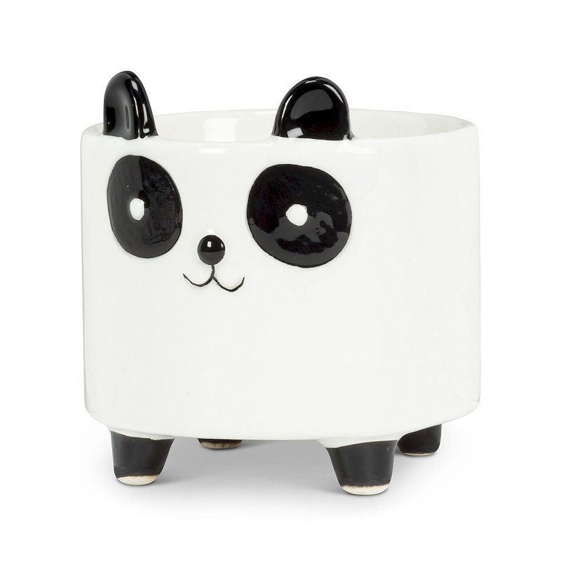 Ceramic Pot Planter