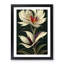 The Cosmopolitan Flower - Single Picture Frame Print-472108891-472108890