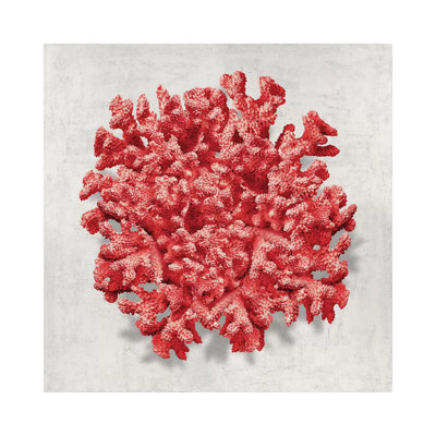 Coral Red II