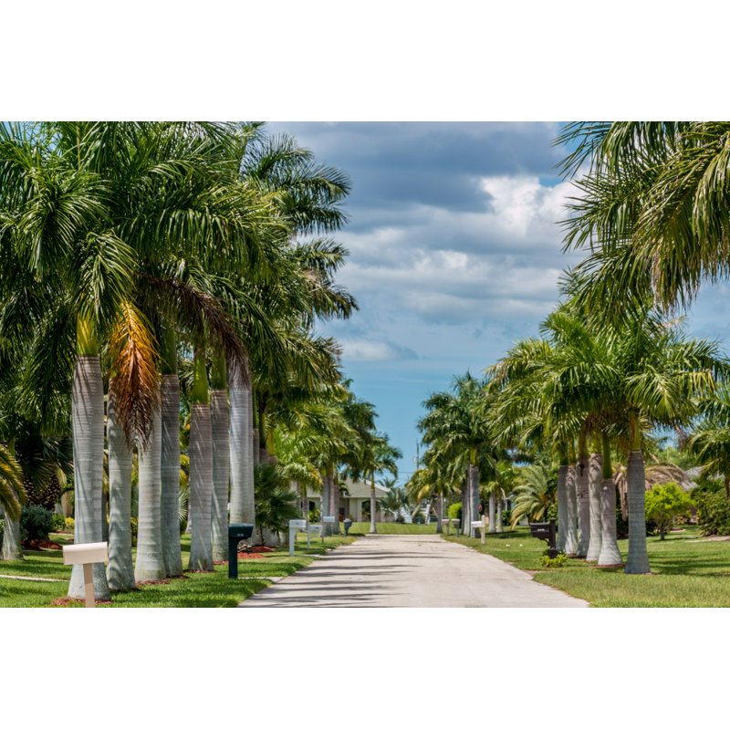 Sunny Florida, H 24 po x l 36 po