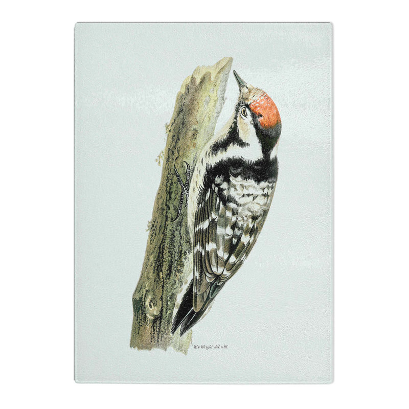 Tempered Glass Lesser-Spotted Woodpecker by Von Wright Chopping Board, 28.5 cm x 39 cm