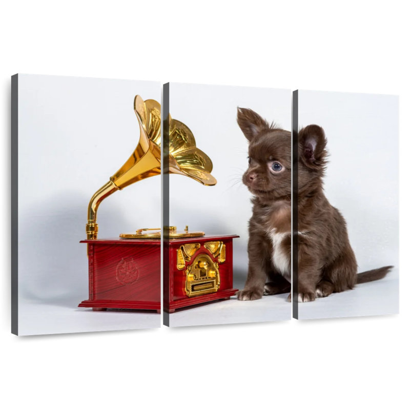 Brampt Melomaniac Chihuahua, 36" H x 57" W