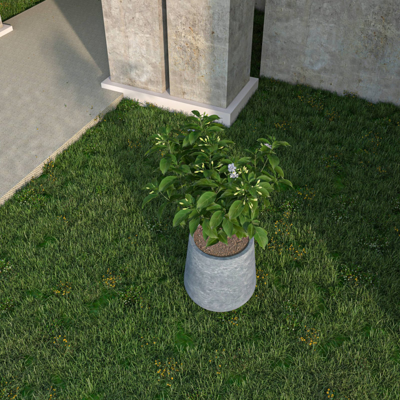 Pot à fleurs fait à la main Weybright, H 12 po x l 11,8 po x P 11,8 po, Béton vieilli