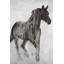 Cheval abstrait brun, reproduction sur toile
