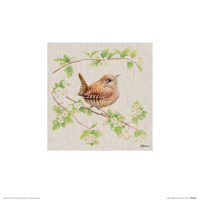 Jenny Wren 1 Piece Painting