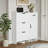 Shoe Storage Cabinet