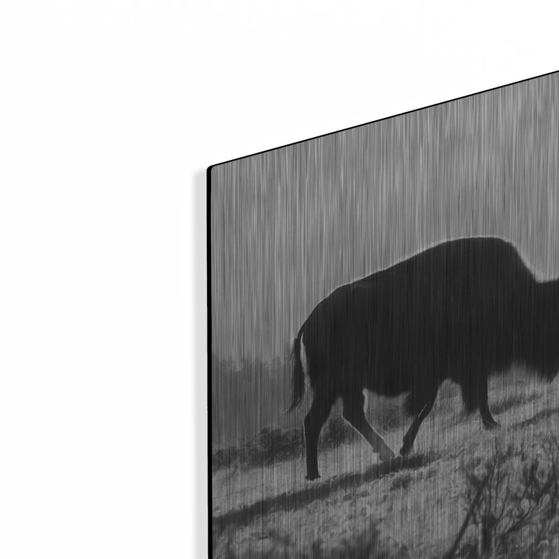 «Lamar Valley Migre» par Lori Deiter, H 12 po x l 16 po