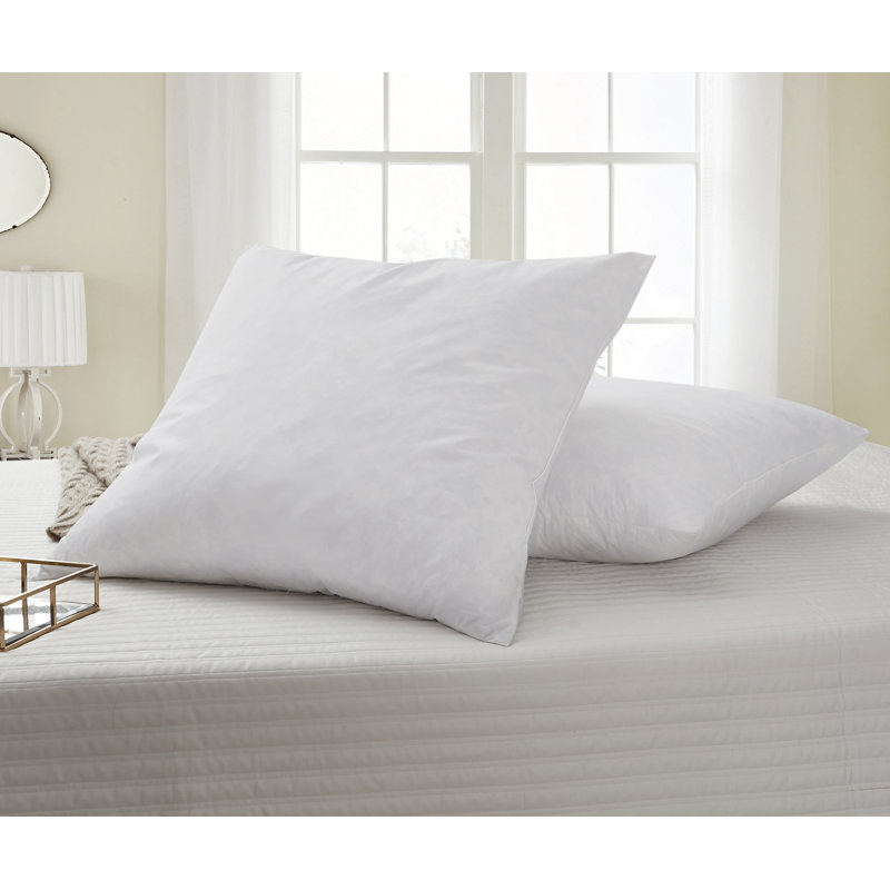 2-Pack 230 Threat Count Gray Feather Euro Square Pillow - 26" Euro Square - By Serta