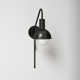Luke Single Light Steel Dimmable Plug-in Armed Sconce
