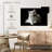 White Persian Cat-107524875