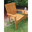 Greg Outdoor Teak Dining Armchair